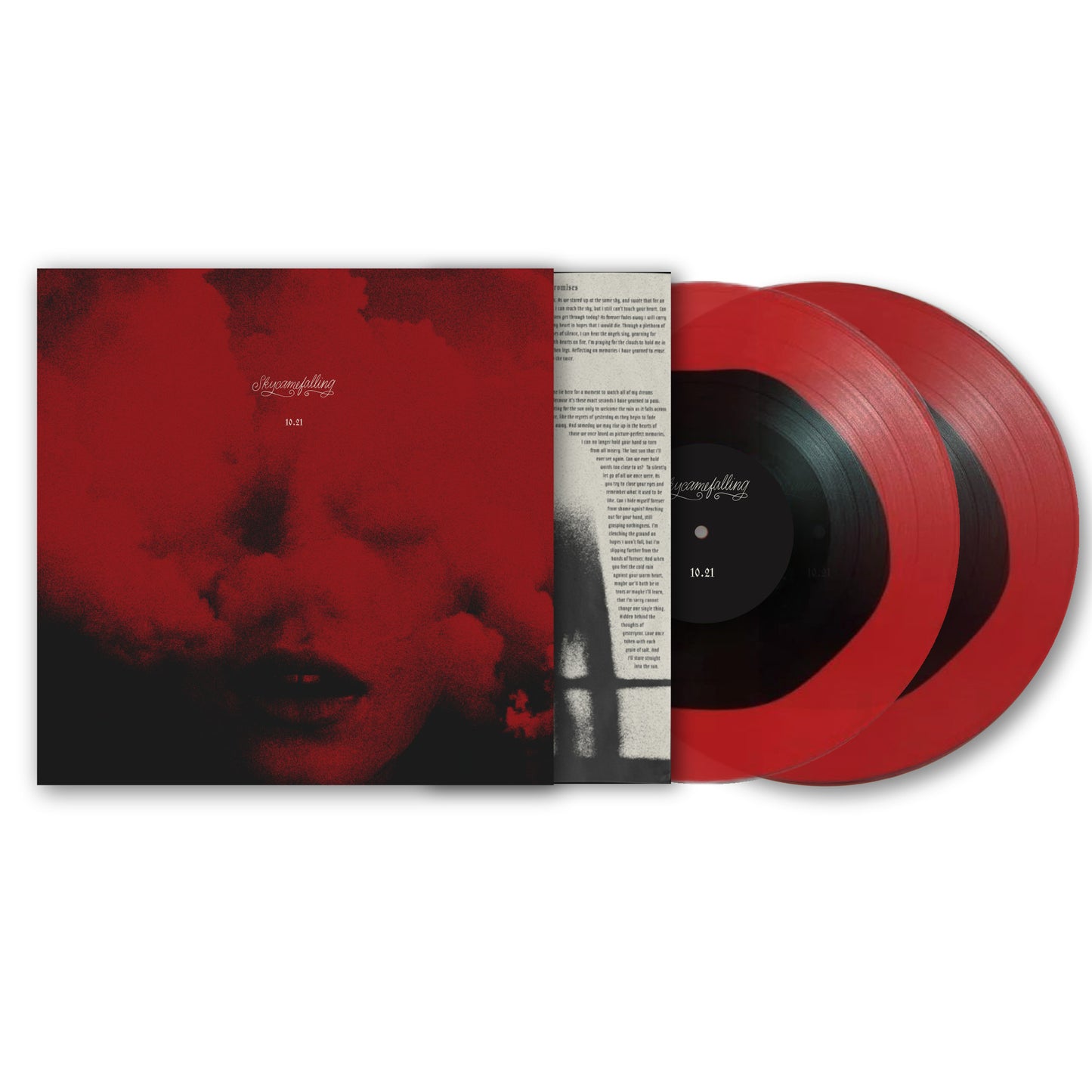 Vinyl - Skycamefalling 10.21 2xLP record