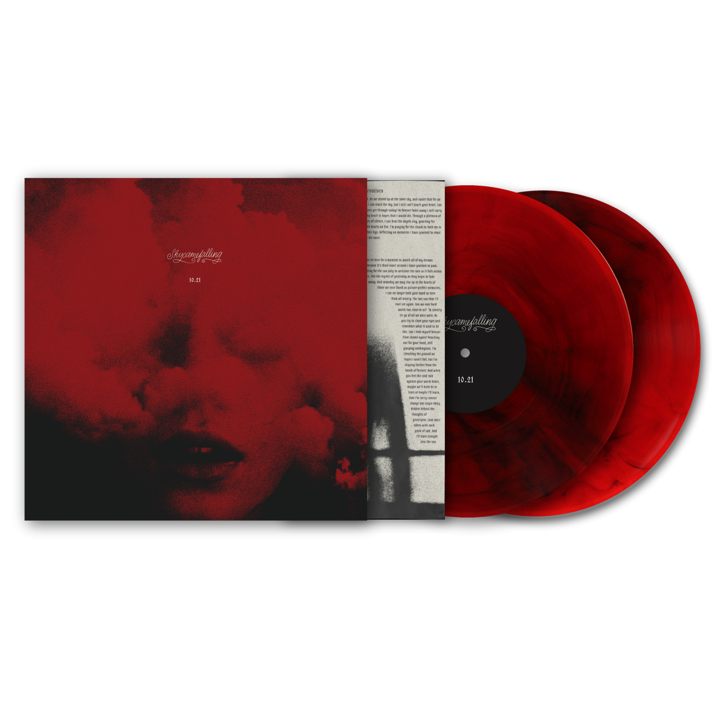 Vinyl - Skycamefalling 10.21 2xLP record