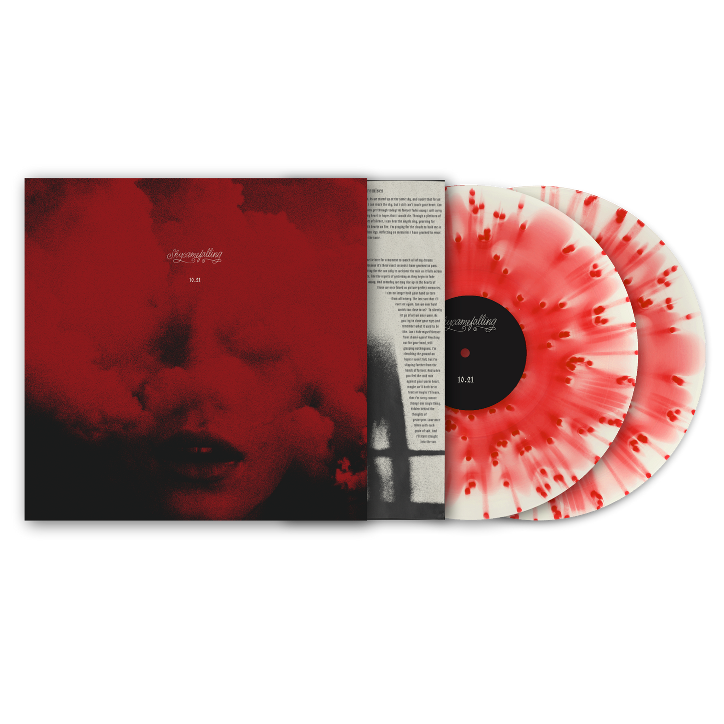 Vinyl - Skycamefalling 10.21 2xLP record