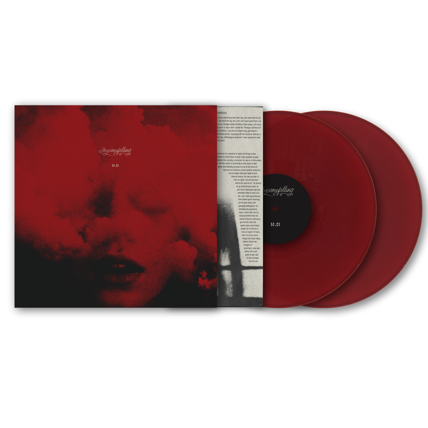 Vinyl - Skycamefalling 10.21 2xLP record
