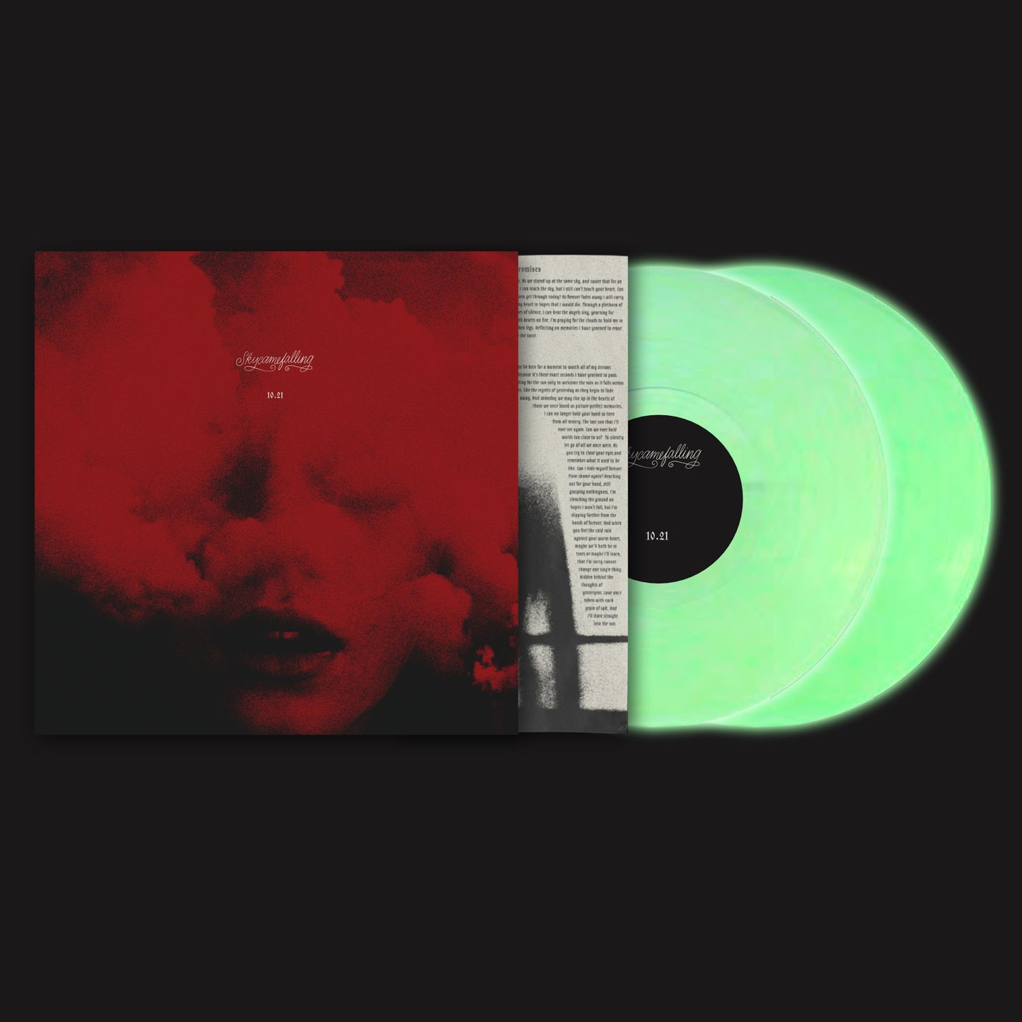 Vinyl - Skycamefalling 10.21 2xLP record
