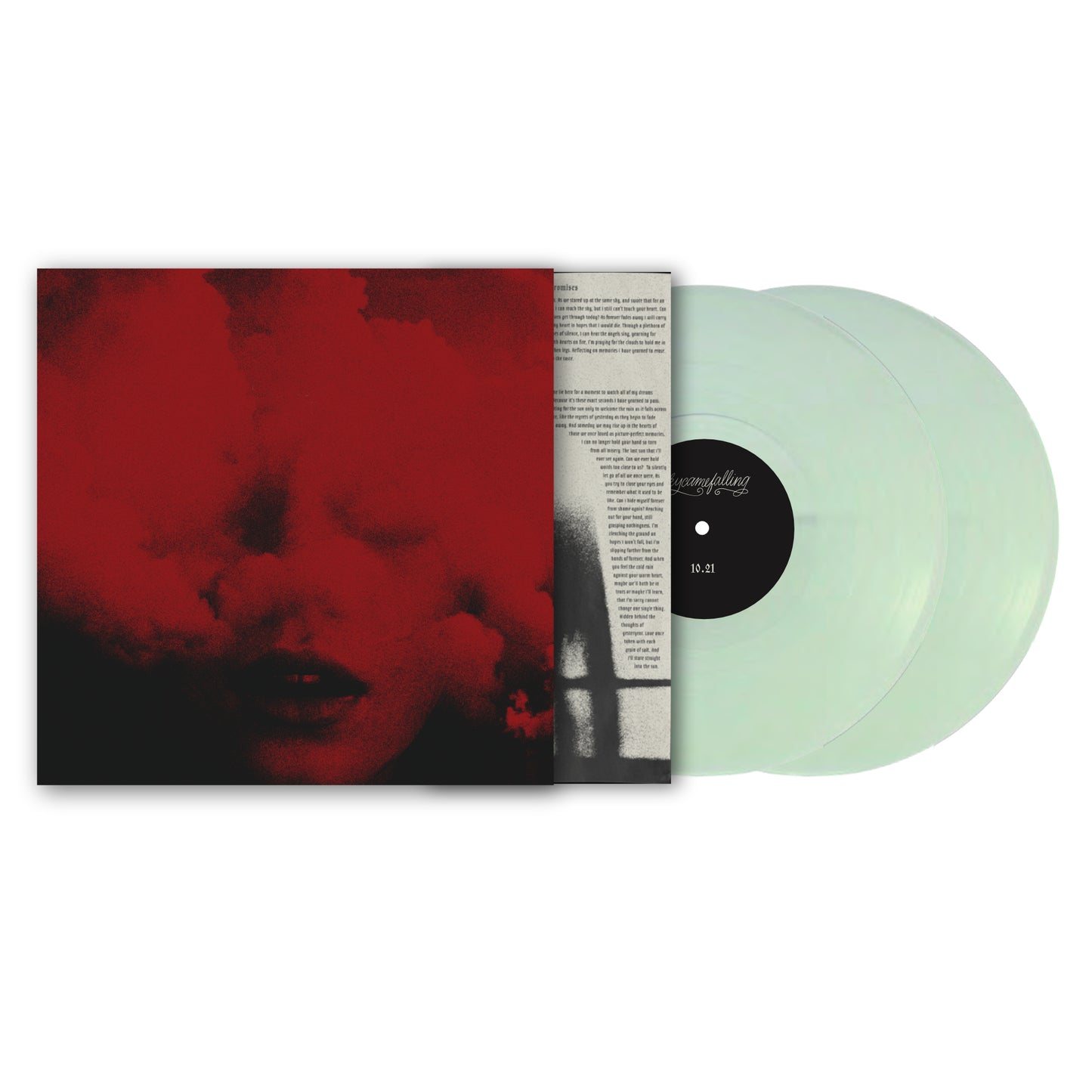 Vinyl - Skycamefalling 10.21 2xLP record