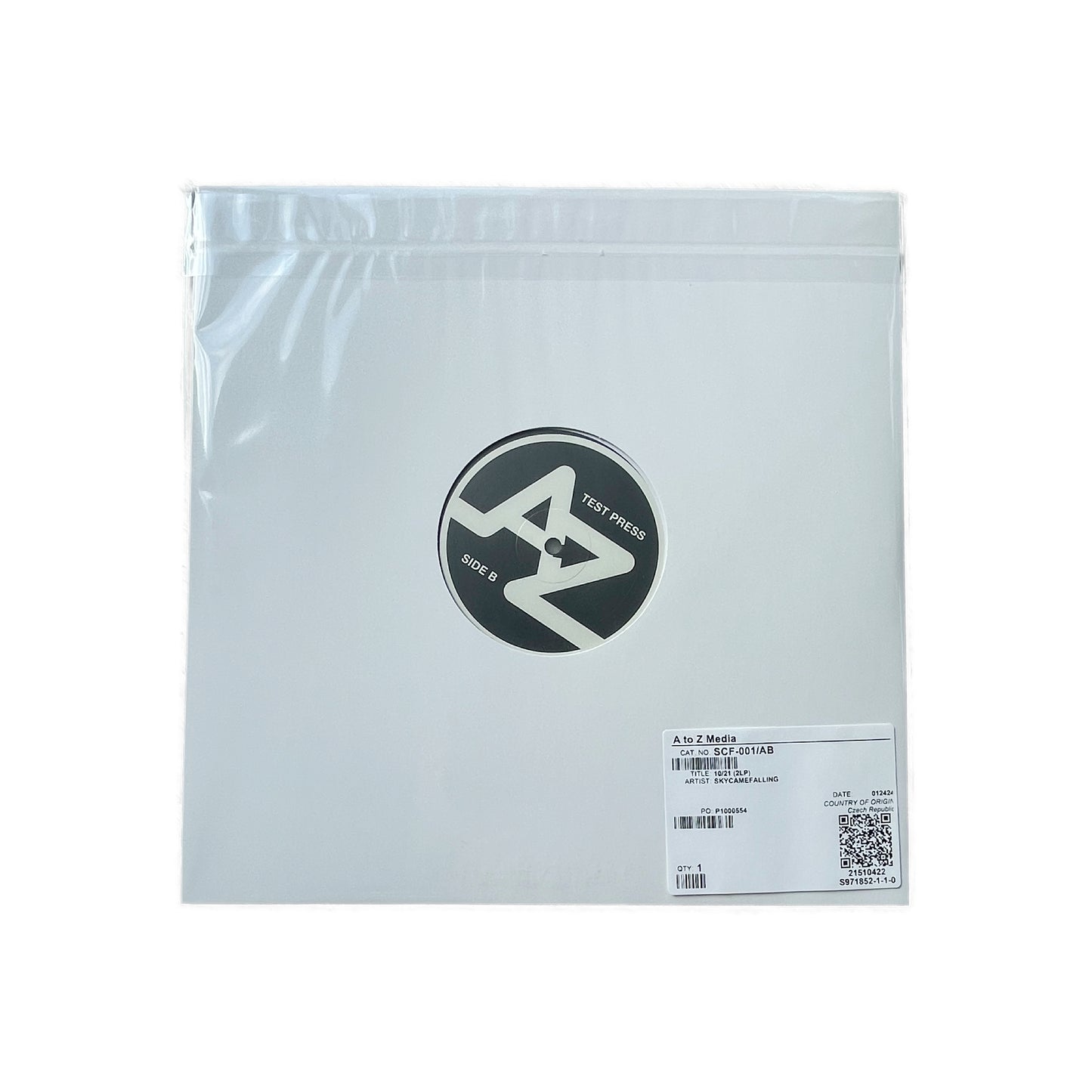 Vinyl - Skycamefalling 10.21 2xLP record