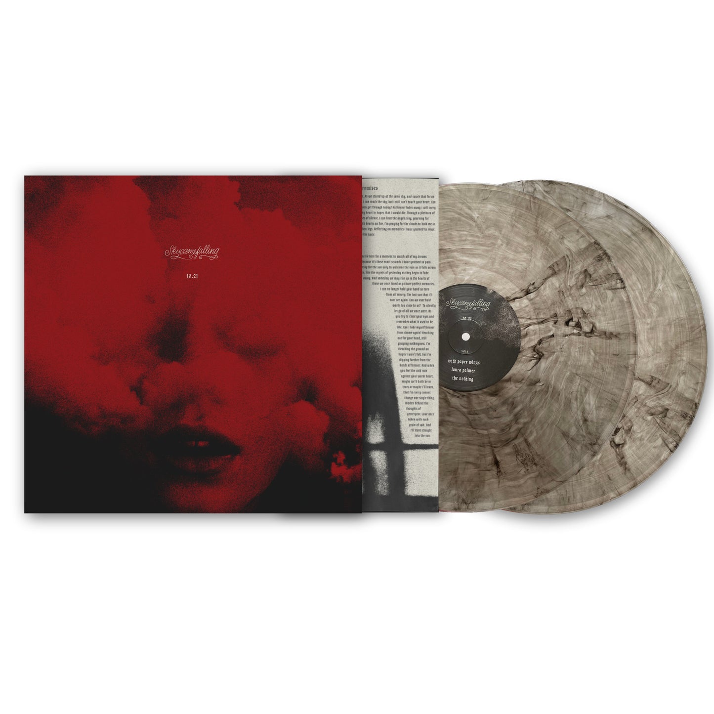 Vinyl - Skycamefalling 10.21 2xLP record